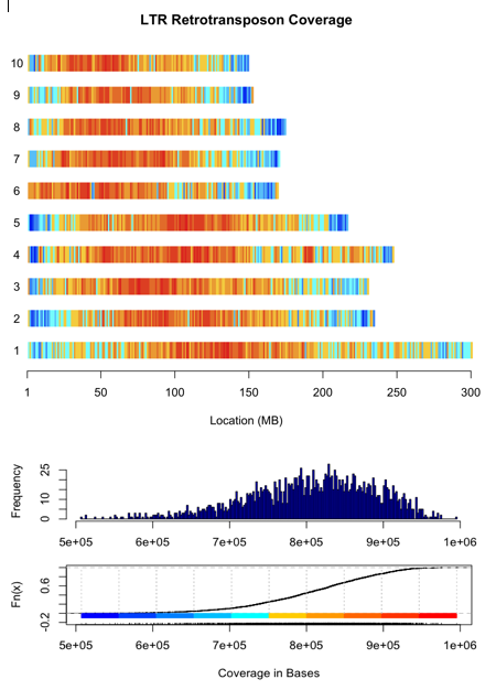 maize ltr retrotransposon distribution